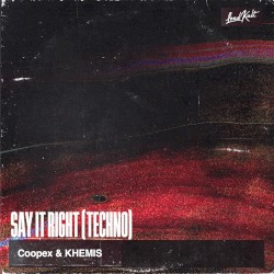 Say It Right (Techno)