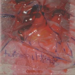 Oboroed / Circus Lives