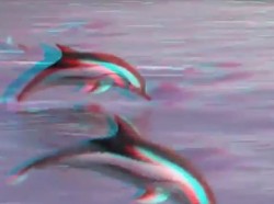 深海の下で Oceanscape 視覚の