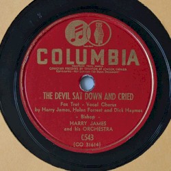 The Devil Sat Down and Cried / Wait 'Till the Sun Shines, Nellie