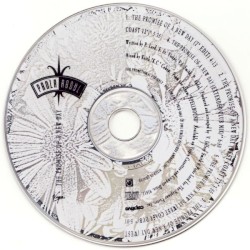 The Promise of a New Day