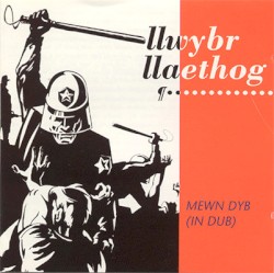 Mewn Dyb (In Dub)