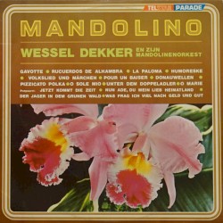 Mandolino