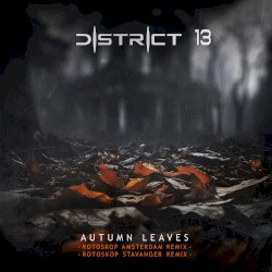 Autumn Leaves (Rotoskop remixes)