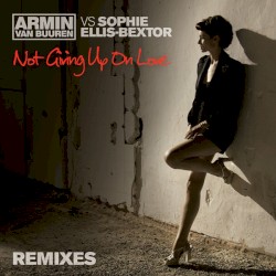 Not Giving Up on Love