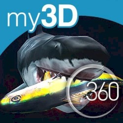 360º Sharks