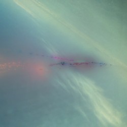 The Telepathic Wheel