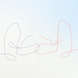 Calming Night Partner