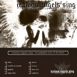 'jealous angels sing' -la pumpkin live 11.01.2022-