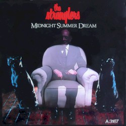 Midnight Summer Dream