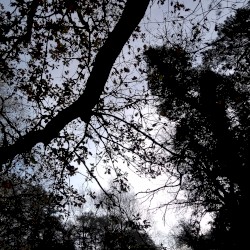 Nature Abhors a Personality Vacuum