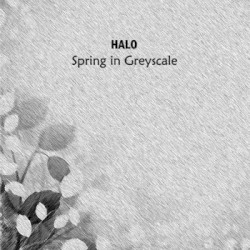 Spring in Greyscale