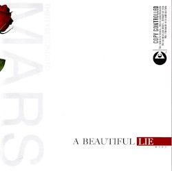 A Beautiful Lie