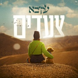 צעדים