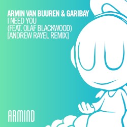 I Need You (Andrew Rayel remix)