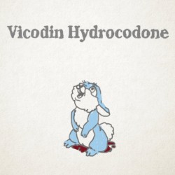 Vicodin Hydrocodone