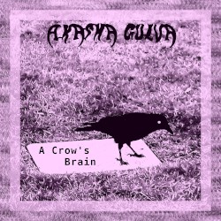 A Crow’s Brain