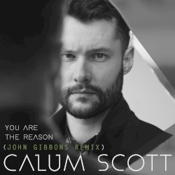 You Are the Reason (John Gibbons remix)