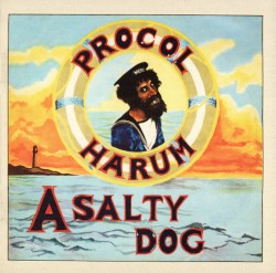 A Salty Dog
