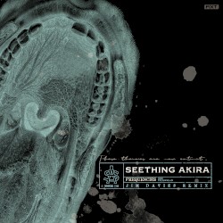 Frequencies (Jim Davies Remix)