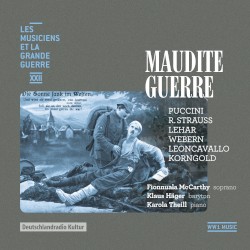 Maudite guerre (Les musiciens et la Grande Guerre, Vol. 22)