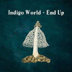 Indigo World / End Up