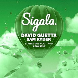 Living Without You (acoustic)