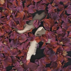 Desperate Times Call for Desperate Pleasures