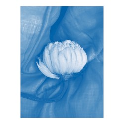 closet in the (cassette)