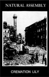 Nothing, Everything Hidden