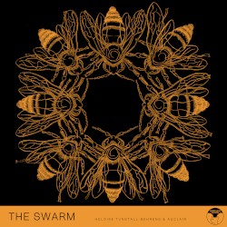 The Swarm