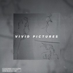 vivid pictures