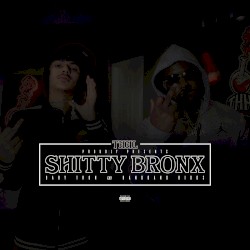 Shitty Bronx
