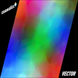Vector