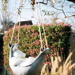 On Love (An Alternative Response to Almitra’s Request)