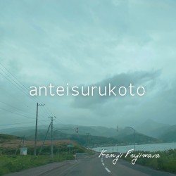 anteisurukoto