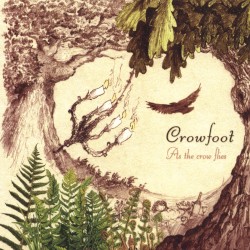 As the Crow Flies