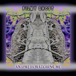 An Owl Is Watching Me