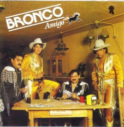 Bronco Amigo
