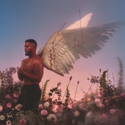 Chroniques d’un Cupidon