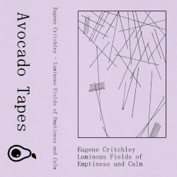 Luminous Fields of Emptiness and Calm