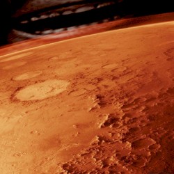 228: Above the Poor Neglected Graves