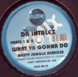 What Ya Gonna Do (Nasty Jungle Remixes)
