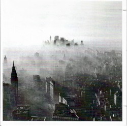 Modern Vampires of the City