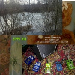 Transformed by My Dimension In Different Levels (Live)