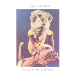 The Eye of the Chameleon