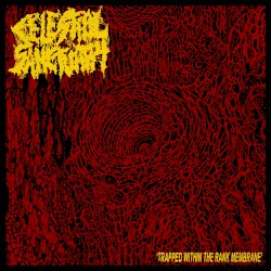 Trapped Within the Rank Membrane (split version)