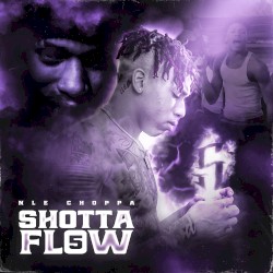 Shotta Flow 5