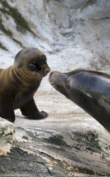 i feel whole with you