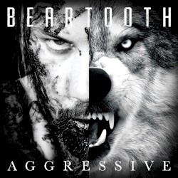 Aggressive (album commentary)